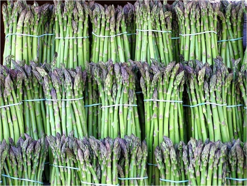 Аспарагус (спаржа) аспарагус Spargel (spargel) spargel