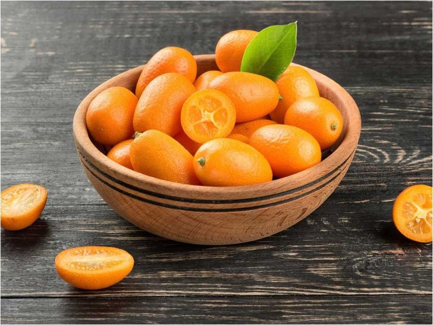 Кумкват кумкват Кумкват кумкват