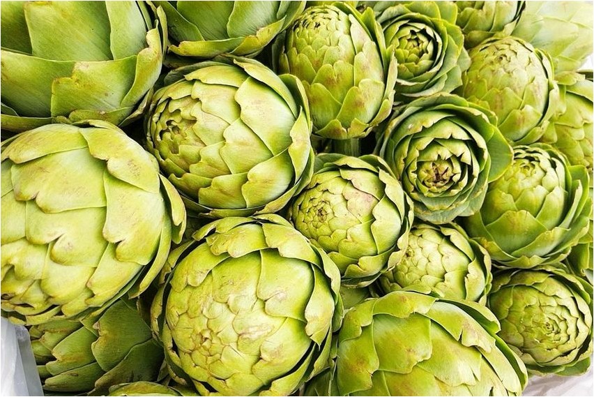 Артишок артишок Artichoke artichoke