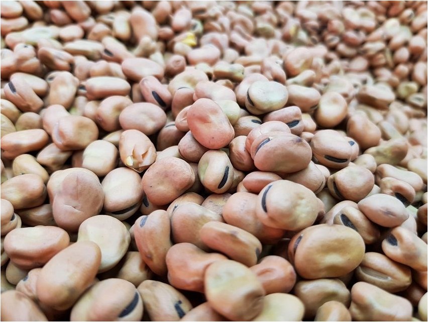 Бобы бобы Beans Beans