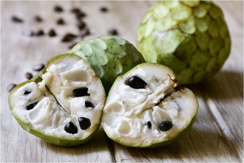 Черимойя черимойя Cherimoya cherimoya