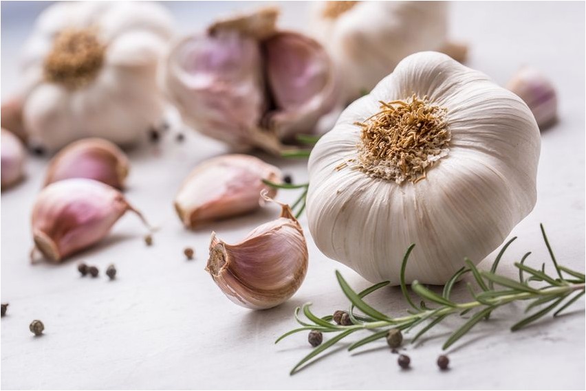 Knoblauchknoblauch