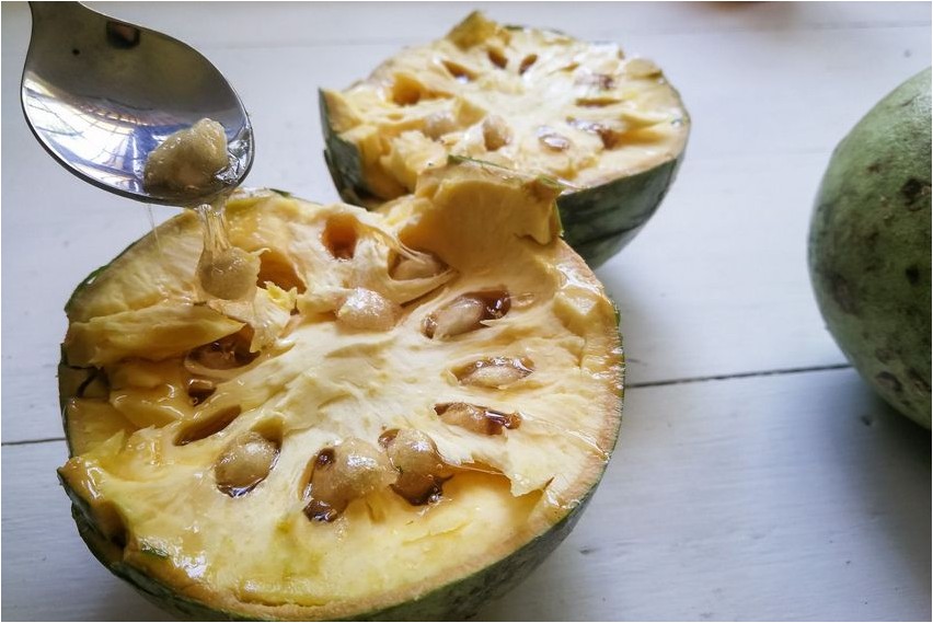 Puidust õunaõun