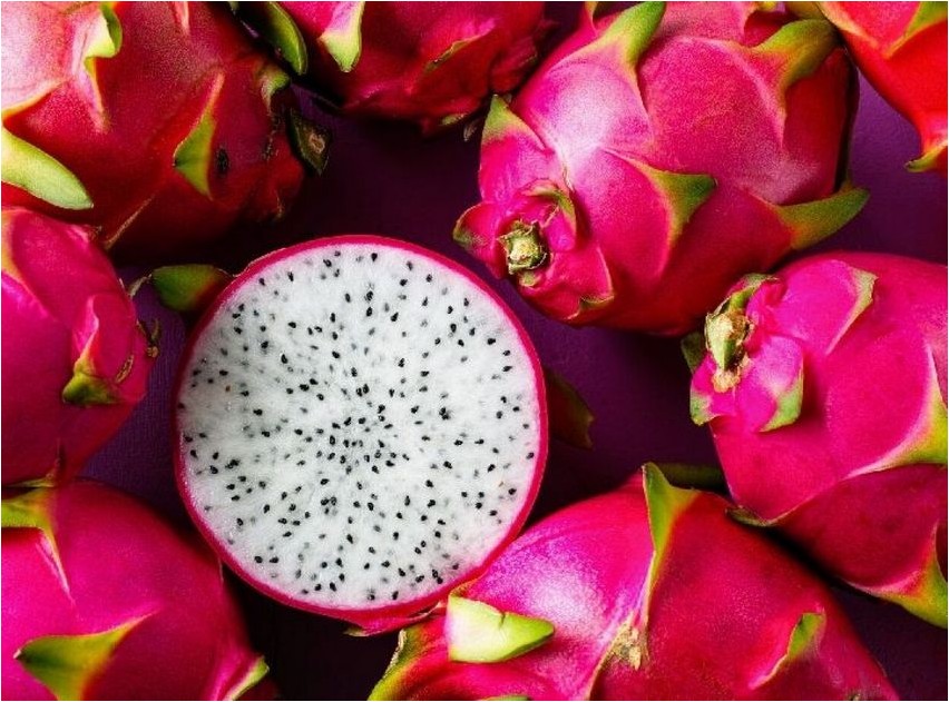 Pitaya Pitaya