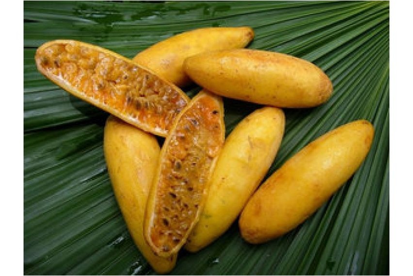 Куруба куруба Kuruba kuruba