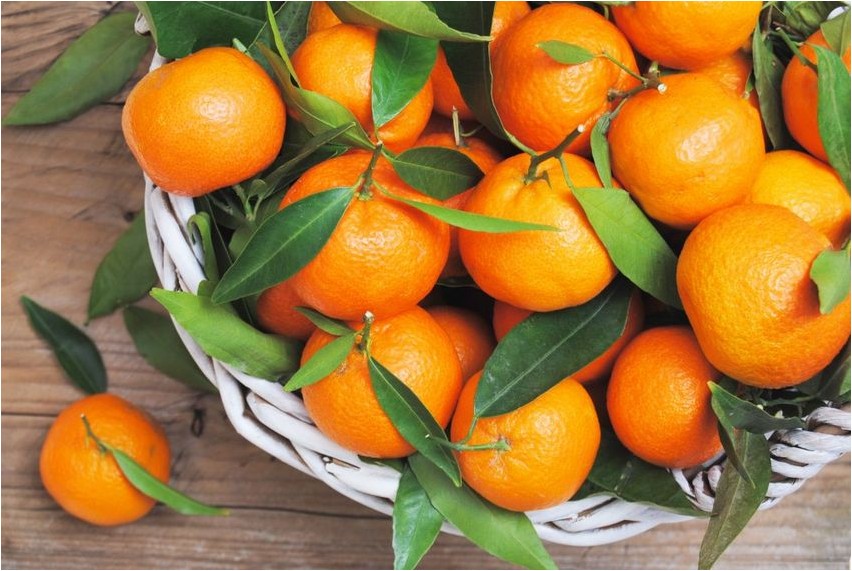 Mandarine Mandarine