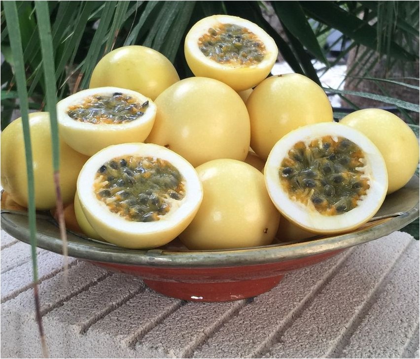 Маракуйя маракуйя Passionsfrucht Passionsfrucht