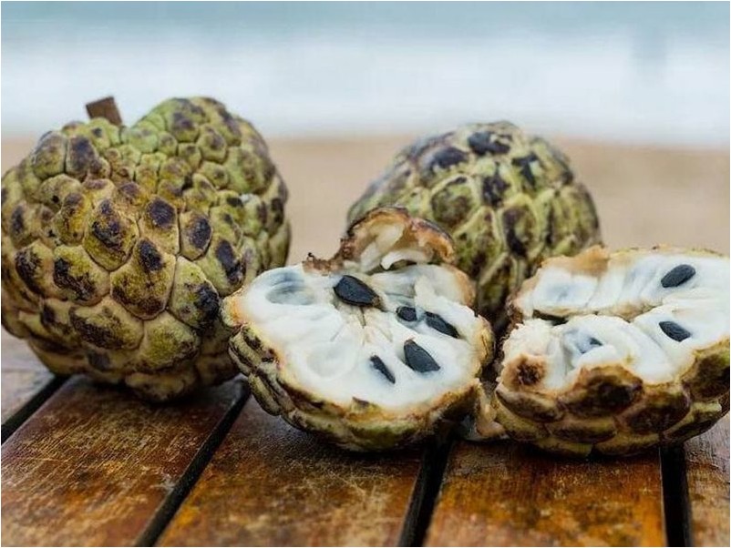 Сметанное яблоко сметанное Soursop Soursop