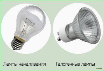How to choose a lamp for an aquarium: selection of lamps, fixtures