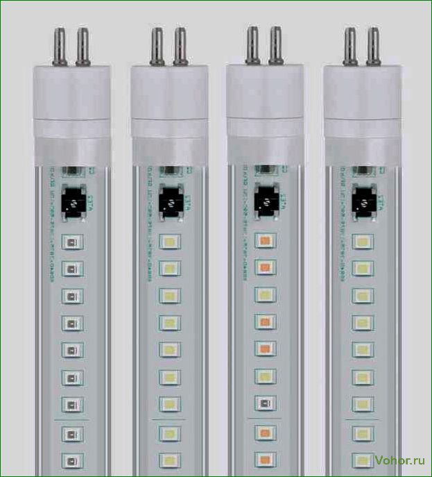 How to choose a lamp for an aquarium: selection of lamps, fixtures