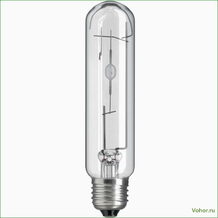 How to choose a lamp for an aquarium: selection of lamps, fixtures