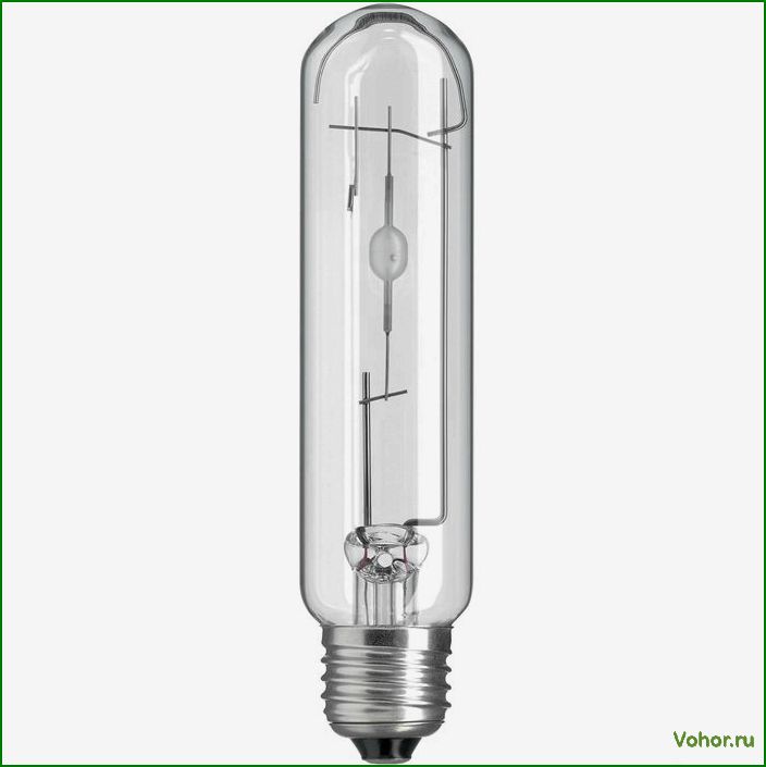 How to choose a lamp for an aquarium: selection of lamps, fixtures