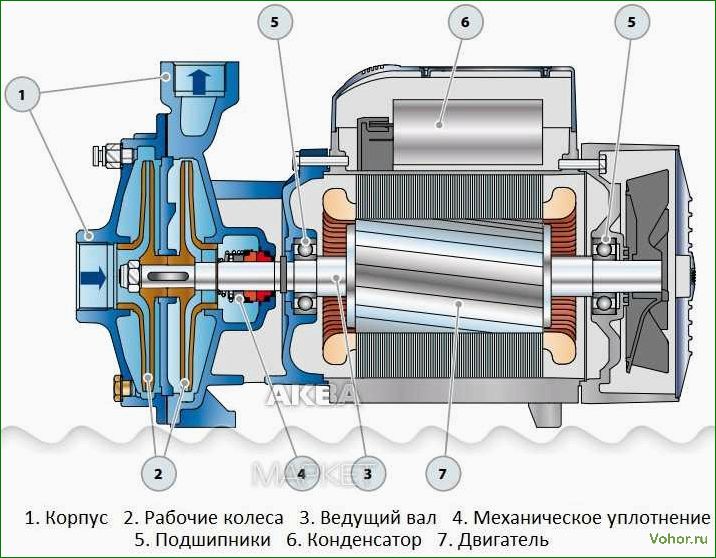 (центробежный, насос, pedrollo, особенности, выбора) Pedrollo Kreiselpumpe: Auswahl und Bedienungsmerkmale