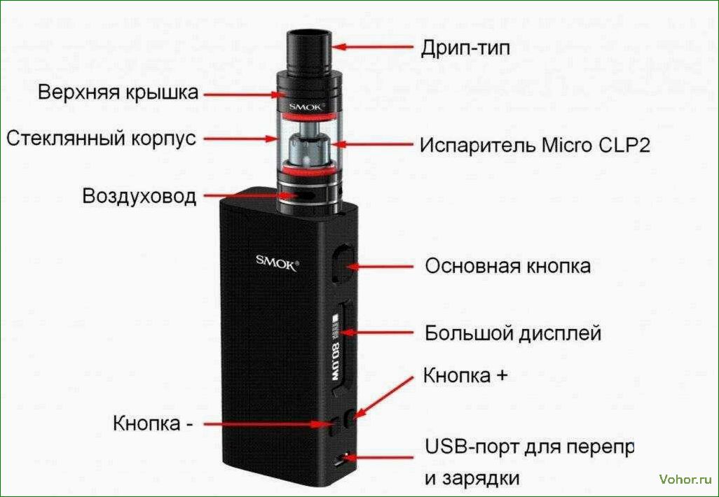 The ideal vape shop: what is important to know and how to choose the best vape shop?