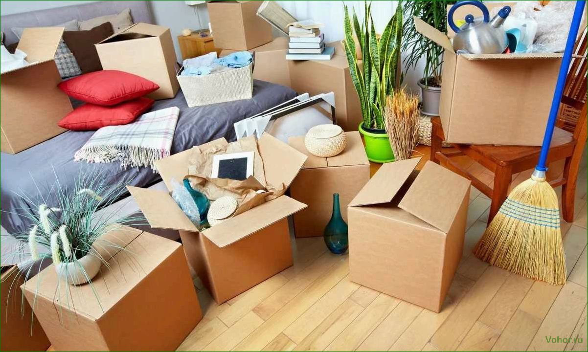 (организовать, квартирный, переезд) How to organize an apartment move