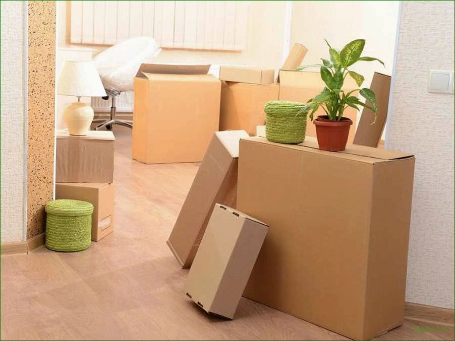 (организовать, квартирный, переезд) How to organize an apartment move