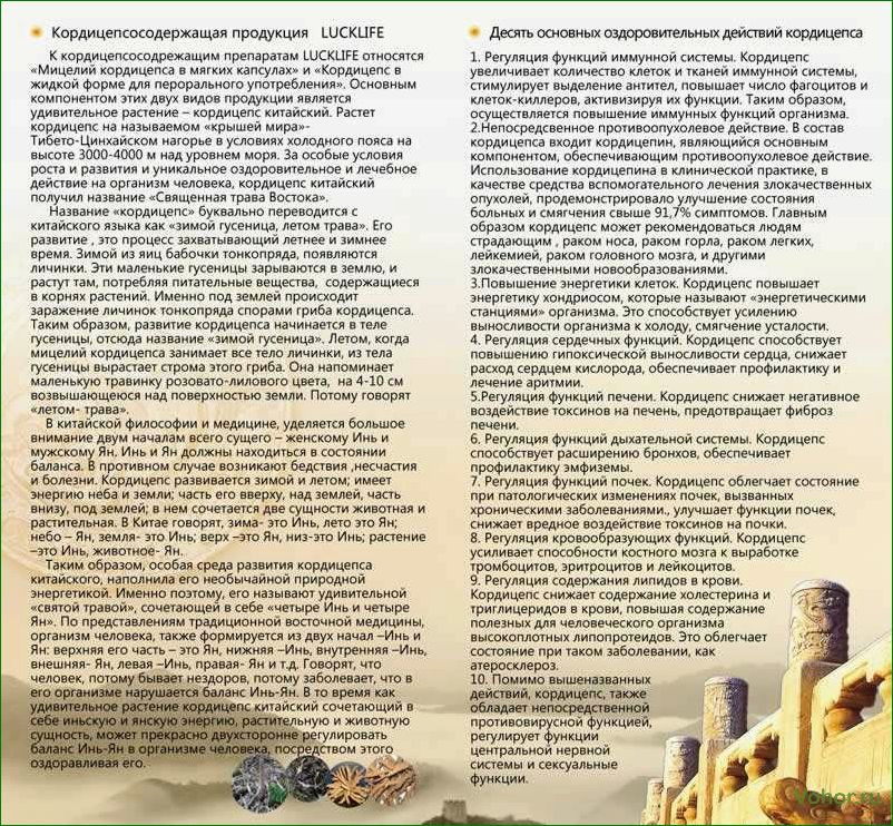 Cordyceps — Gebrauchsanweisung