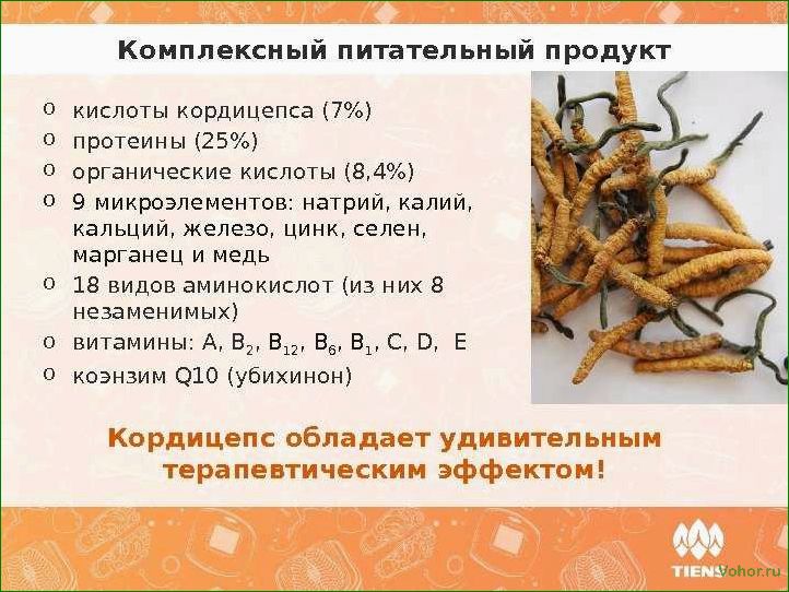 Cordyceps — Gebrauchsanweisung