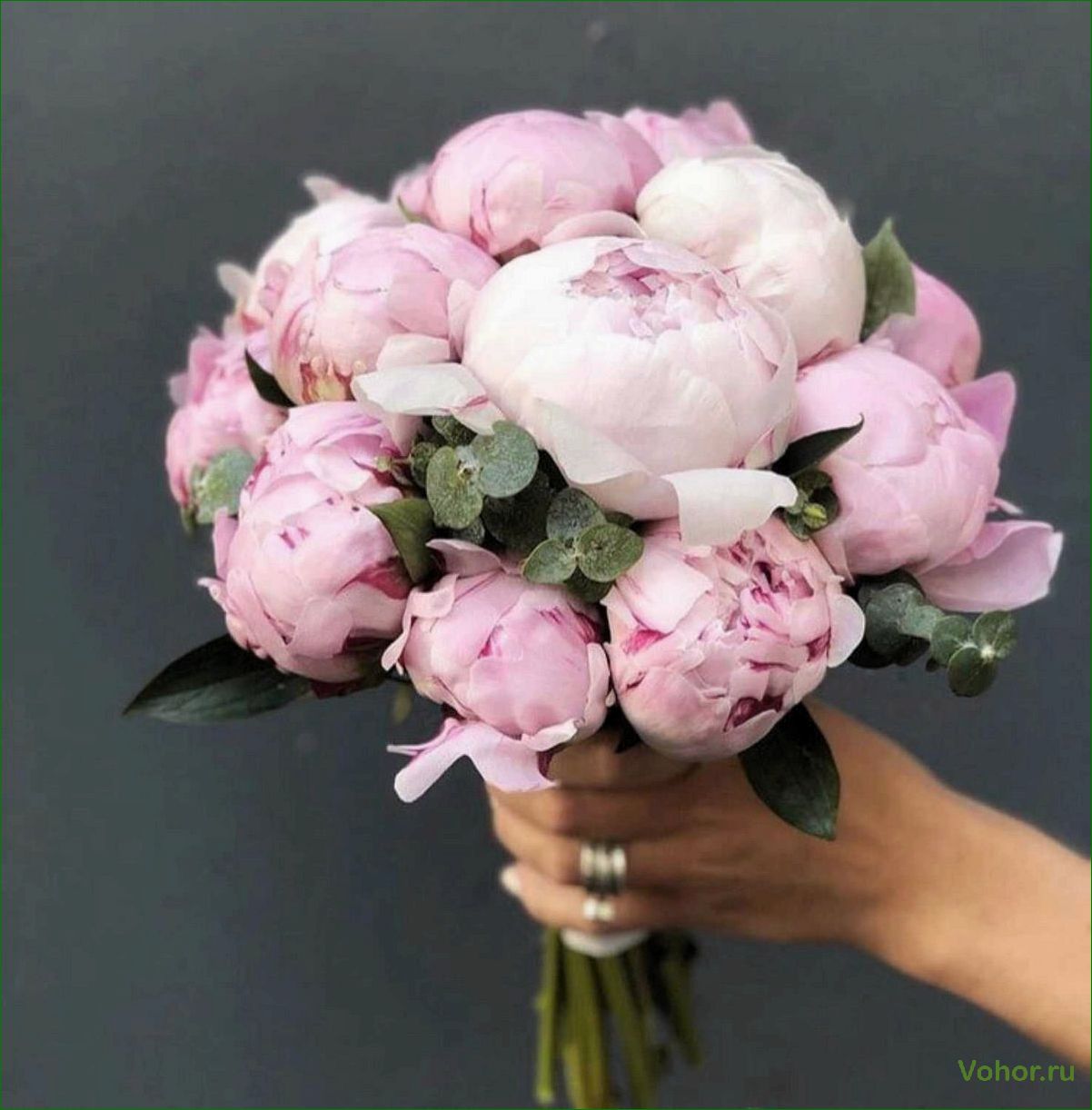(букет, невесты, пионов) Peony Bridal Bouquet