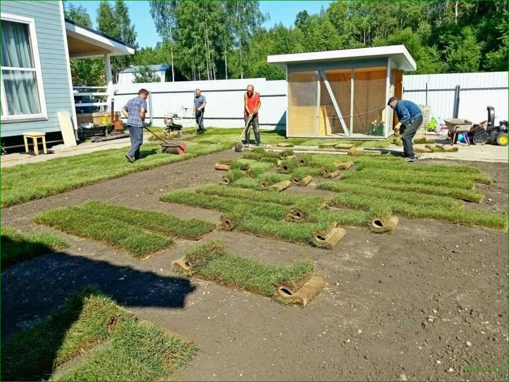 (благоустройство, территории, земельного, участка, ключ) Turnkey landscaping of the land plot