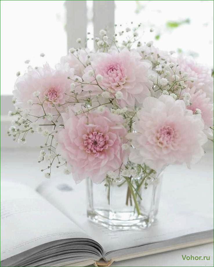 (изысканный, нежный, цветок, который, приносит) Eine exquisite und zarte Blume, die Freude und Schönheit in unser Leben bringt.