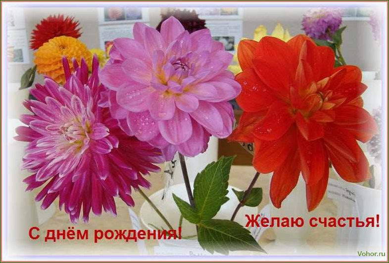 (великолепные, георгины, открытках, яркие, краски) Великолепные георгины на открытках — яркие краски и нежность природы
