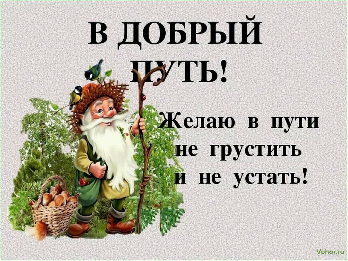 (подготовиться, дорожному, путешествию, машине, полезные) Как подготовиться к дорожному путешествию на машине — полезные советы и пожелания