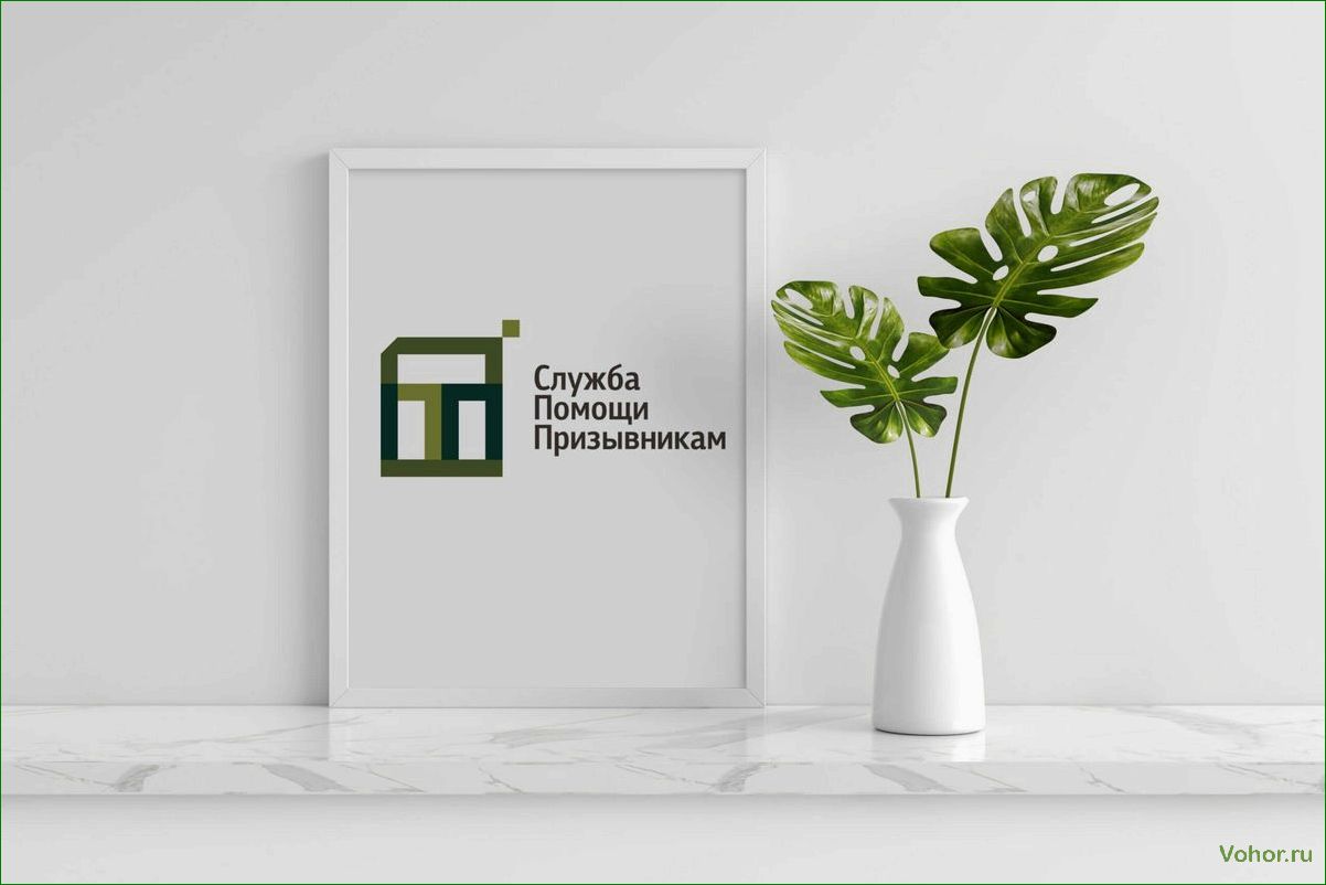 Legal company Assistance Service for Conscripts - we help young people in legal matters