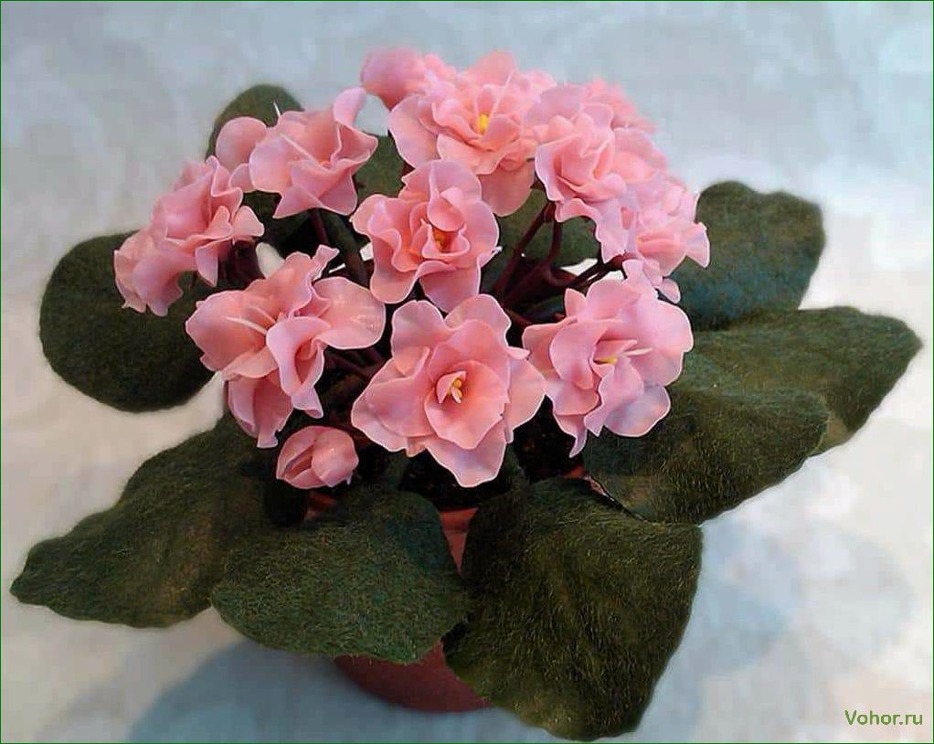 The Most Impressive and Delightful Plants to Liven Up Your Home's Interior