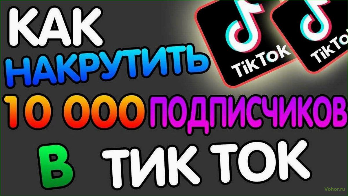 Искусство привлечения огромного количества подписчиков в приложении Тик Ток 